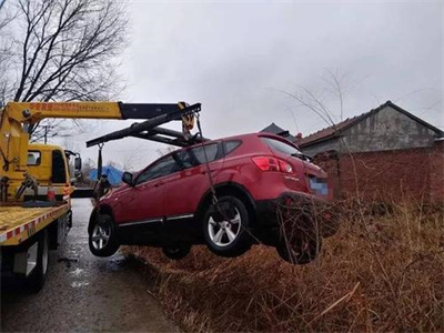 朗县楚雄道路救援